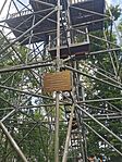 IMG_20250719_144916