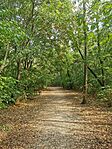 IMG_20250714_163748