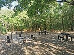 IMG_20250714_164858
