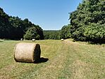 IMG_20250810_112011