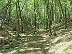 IMG_20250810_112626