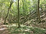 IMG_20250810_113344