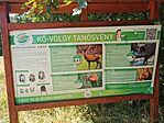 IMG_20250810_115346