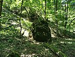 IMG_20250810_121407