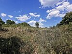 IMG_20250810_152910