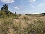 IMG_20250810_153141
