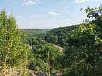 IMG_20250810_153655