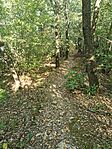 IMG_20250810_154151