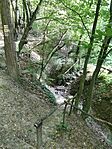 IMG_20250810_173808_436845620207820