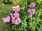 IMG_20250810_173903