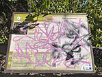 IMG_20250819_092358
