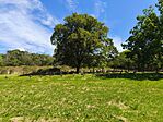 IMG_20250823_114141