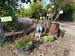 IMG_20250822_165809