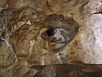 IMG_20250829_091726