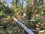 IMG_2358(1)