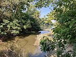 IMG_2365(1)