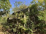 IMG_2369(1)