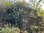 IMG_2370(1)