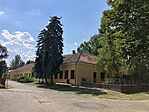 IMG_2432(1)