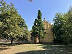IMG_2437(1)