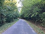 IMG_2524(1)