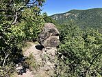 IMG_2537(1)