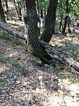 IMG_20250809_152005