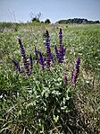 IMG_20250808_113901