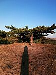 IMG_20250810_065057