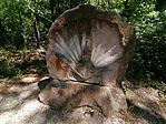 IMG_20250801_113012