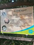IMG_20250820_165306