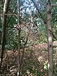 IMG_20250820_162837