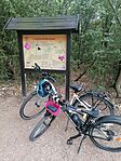 IMG_20250822_093757