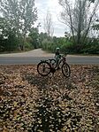 IMG_20250822_095052