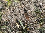 IMG_20250823_164555