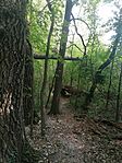 IMG_20250823_165027
