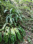 IMG_20250820_115244