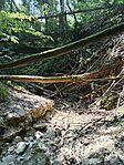 IMG_20250820_120106