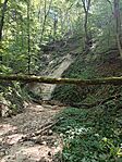 IMG_20250820_120829