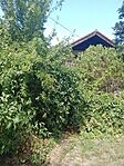 IMG_20250801_122524