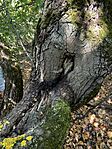 IMG_8572