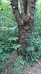 20250802_182617-OK
