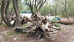 20250726_131153-OK