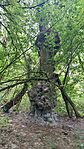 20250726_152051-OK