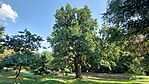 20250816_170908-OK