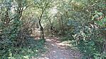 20250827_092334_OK