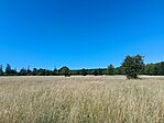 IMG_20250808_111953.jpg