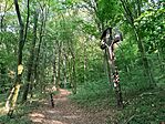 IMG_20250805_180716.jpg