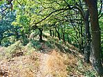 IMG_20250810_141210.jpg