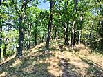 IMG_20250810_141456.jpg
